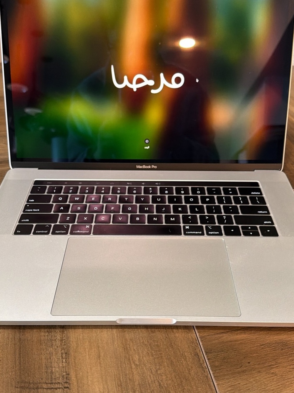 2017 - Apple MacBook Pro Silver with Black Keyboard and Large Trackpad